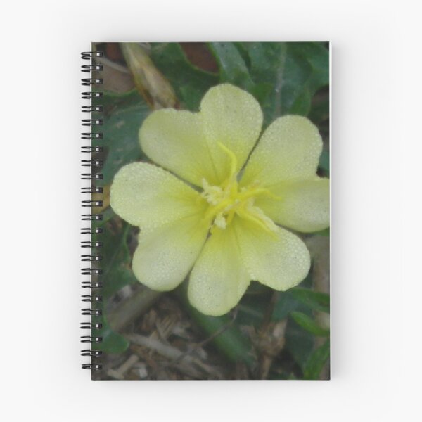 Item preview, Small Evening Primrose, Night Blooming, Covered in Dew designed and sold by Navigator.