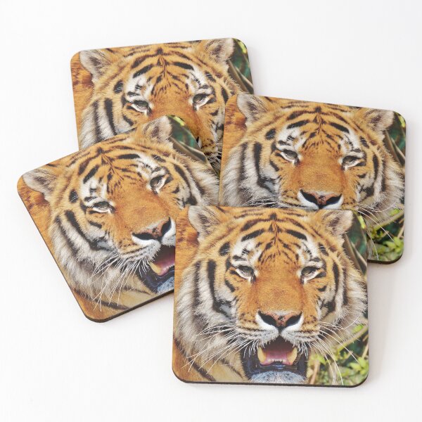 Item preview, Tiger, Big Cat of the Jungle designed and sold by TeesbyGinyard.