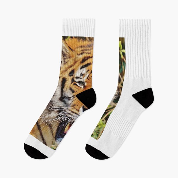 Item preview, Tiger, Big Cat of the Jungle designed and sold by TeesbyGinyard.
