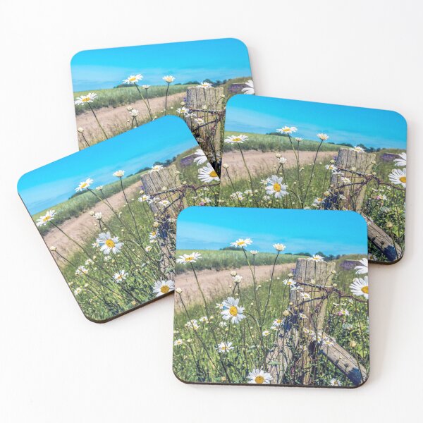 Item preview, Daisies on a post in a field at Wortley, Yorkshire designed and sold by Itsgrimupnorth.