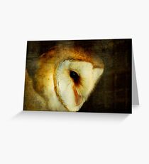 Barn Owl Greeting Card