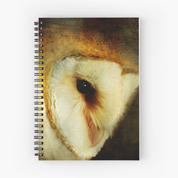 Item preview, Barn Owl designed and sold by Lois  Bryan.