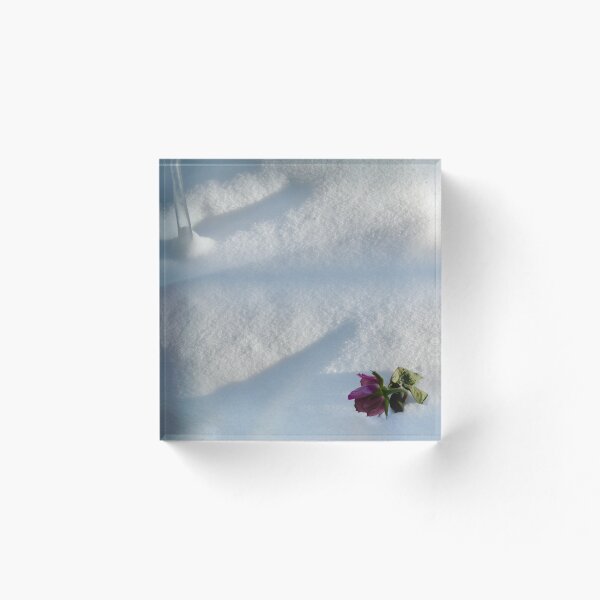 Item preview, Rose in the Winter Time designed and sold by RandomlyInspire.