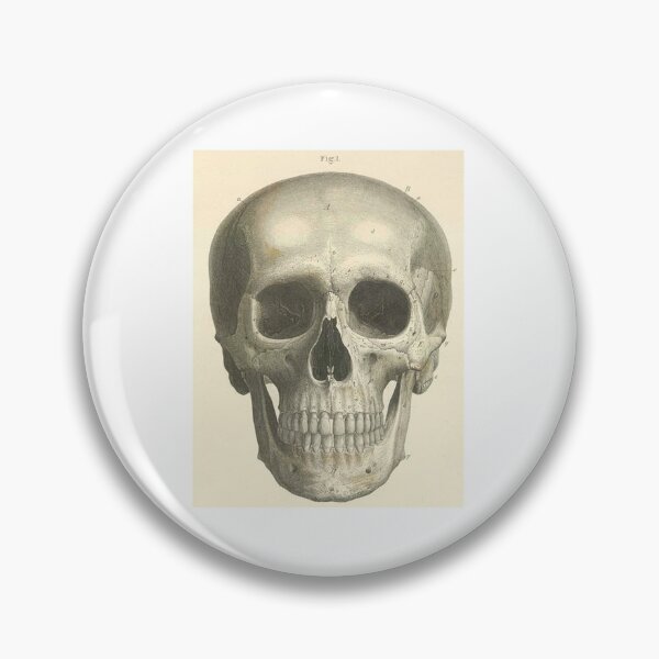 Item preview, Bones of the Skull from the Front designed and sold by seacucumber.