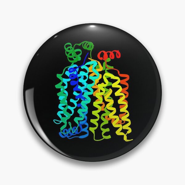 Item preview, Glucose Transporter GLUT3 designed and sold by 3D Biology.