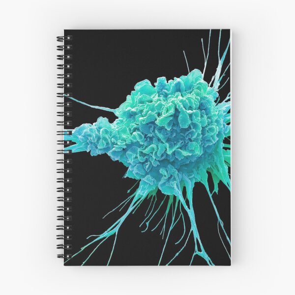 Item preview, SEM ANTIGEN DENDRIC CELL MEDICAL LABORATORY SCIENTIST designed and sold by Hippiesole.