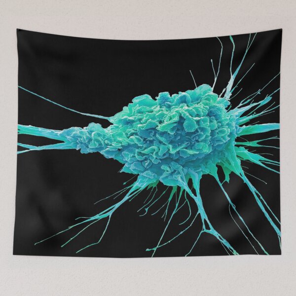 Item preview, SEM ANTIGEN DENDRIC CELL MEDICAL LABORATORY SCIENTIST designed and sold by Hippiesole.