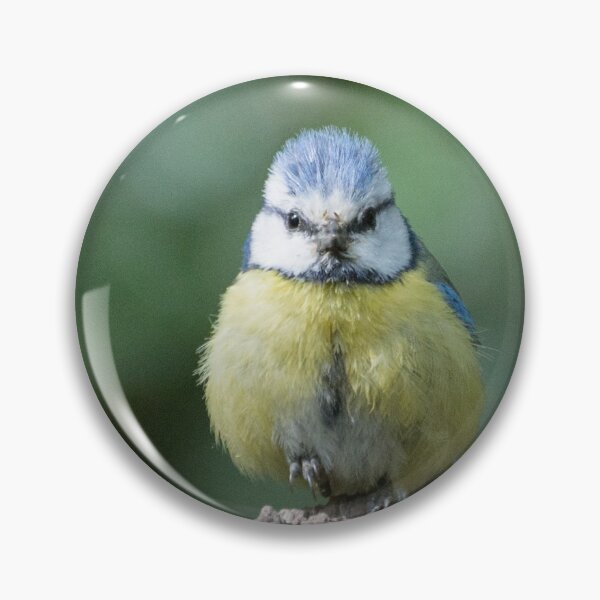 Item preview,  Eurasian blue tit (Cyanistes caeruleus) designed and sold by TrijnieD.