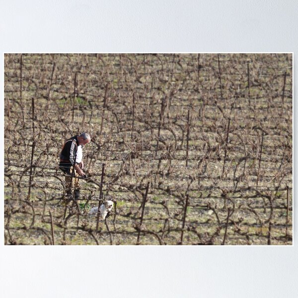 Item preview, One man and his dog went to prune a vineyard. designed and sold by Paul Pasco.