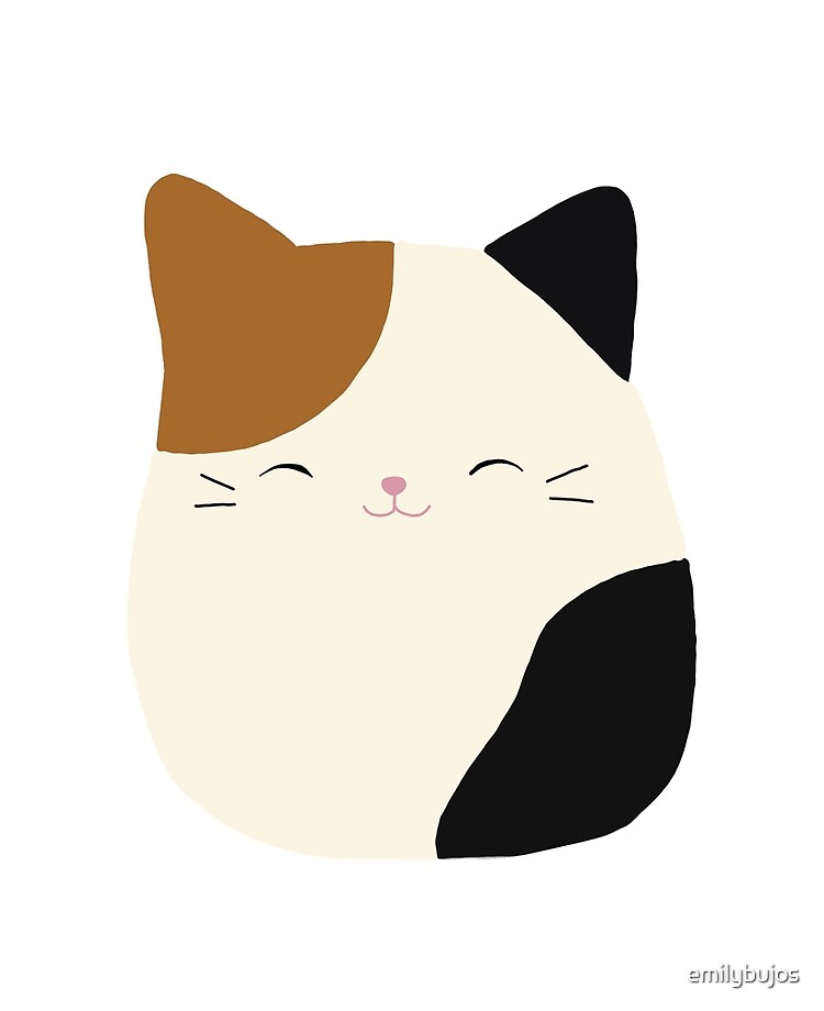 squishmallow cat cameron