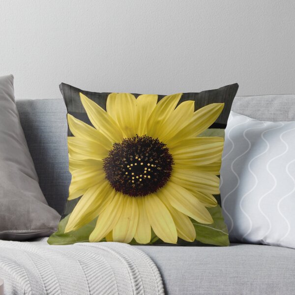 Item preview, Sunflower Star designed and sold by RandomlyInspire.
