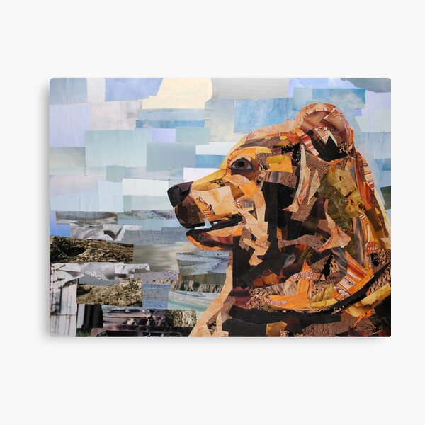 Brown Bear Canvas Print