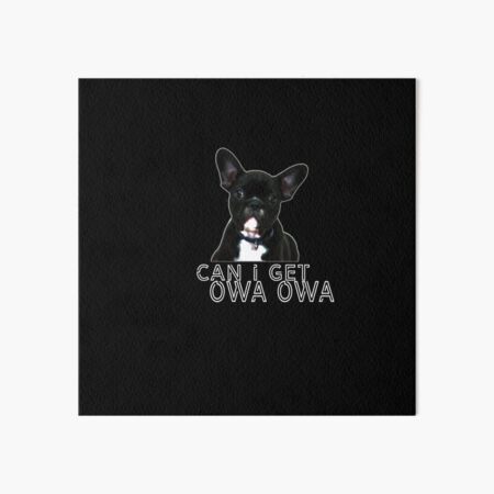 "Dog Owa -can i get an owa owa - owa owa pudgy" Art Board Print by ...