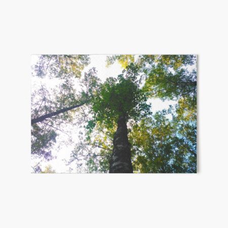 Item preview, Treetop designed and sold by NatureOnItems.