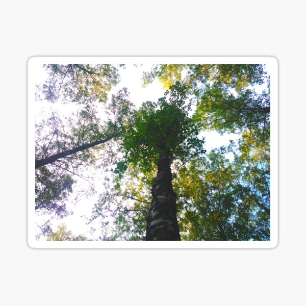 Item preview, Treetop designed and sold by NatureOnItems.