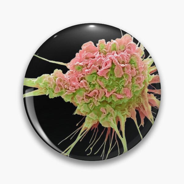 Item preview, MICROBIOLOGY SEM DENDRIC CELL MEDICAL LABORATORY SCIENTIST designed and sold by Hippiesole.
