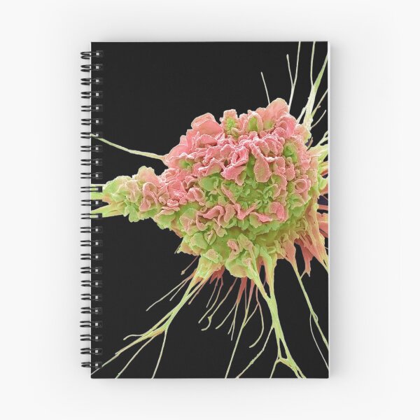 Item preview, MICROBIOLOGY SEM DENDRIC CELL MEDICAL LABORATORY SCIENTIST designed and sold by Hippiesole.