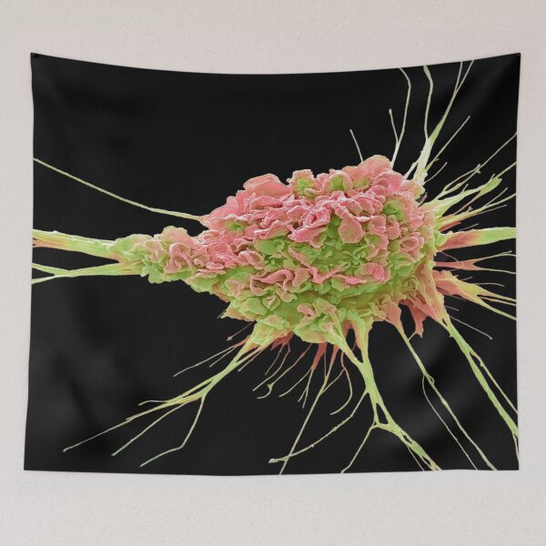 Item preview, MICROBIOLOGY SEM DENDRIC CELL MEDICAL LABORATORY SCIENTIST designed and sold by Hippiesole.
