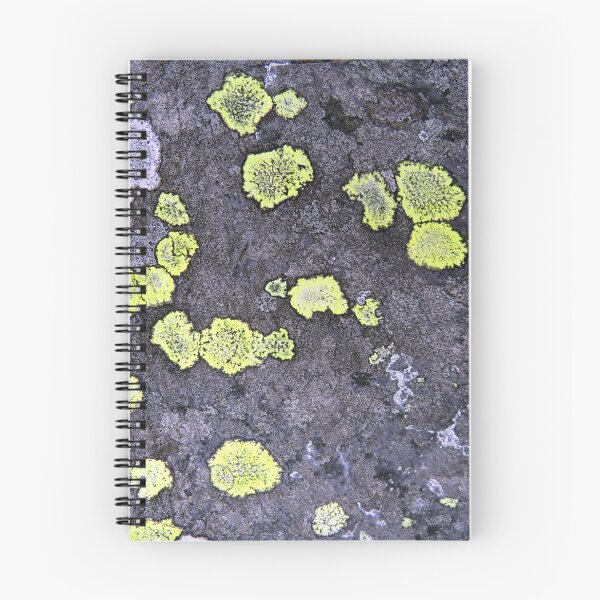Item preview, lichen designed and sold by KathleenDawson.
