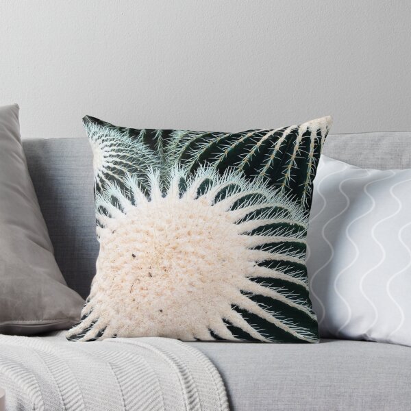 Item preview, Prickly cactus designed and sold by BloomCo.