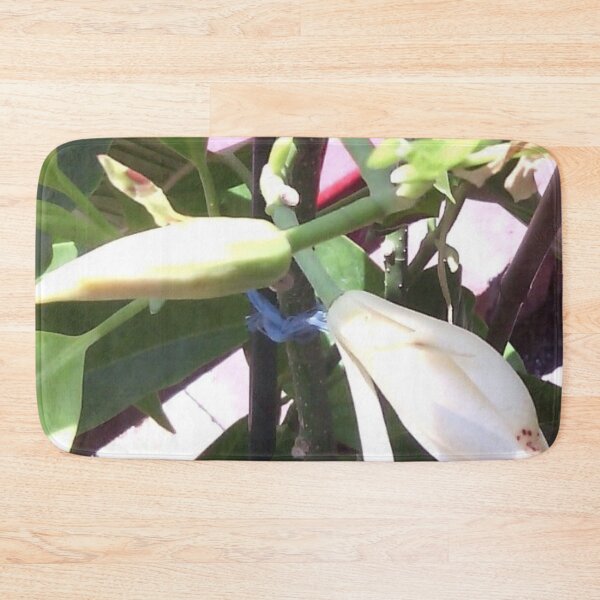Item preview, Beauty Michell-alba  designed and sold by Lan thi Nguyen.