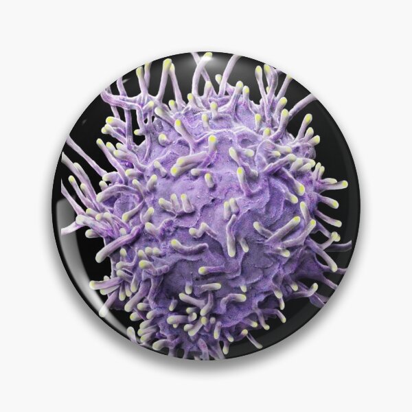 Item preview, MICROBIOLOGY SEM ACTIVATED T LYMPHOCYTE MEDICAL LABORATORY SCIENTIST designed and sold by Hippiesole.