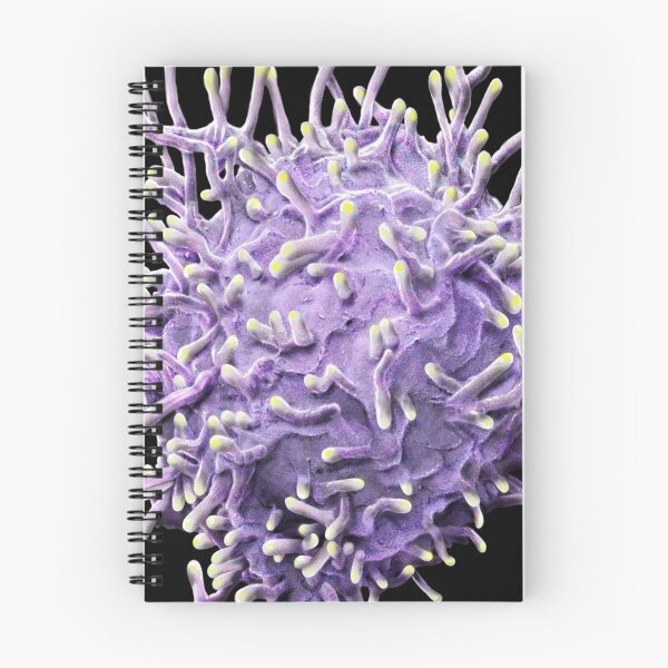Item preview, MICROBIOLOGY SEM ACTIVATED T LYMPHOCYTE MEDICAL LABORATORY SCIENTIST designed and sold by Hippiesole.