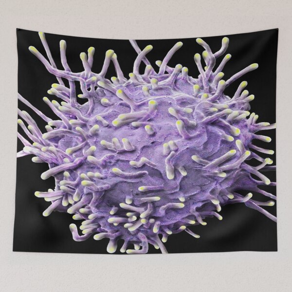 Item preview, MICROBIOLOGY SEM ACTIVATED T LYMPHOCYTE MEDICAL LABORATORY SCIENTIST designed and sold by Hippiesole.