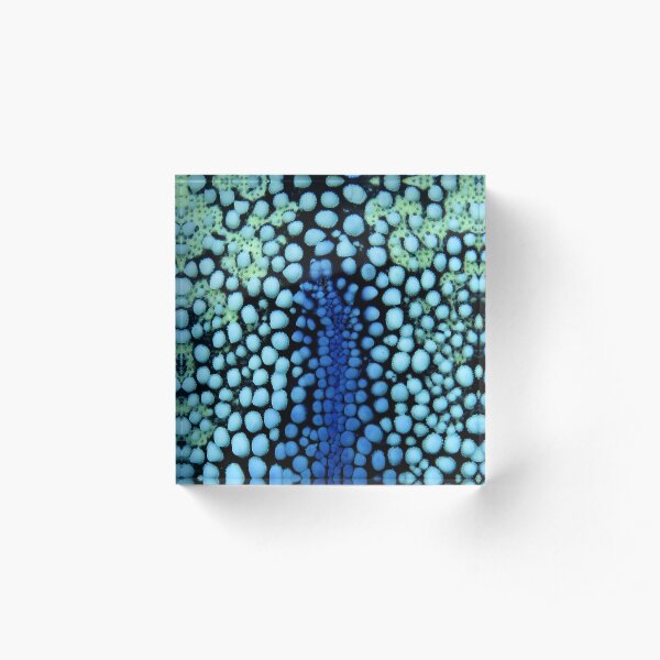 Stone Pathways Acrylic Block