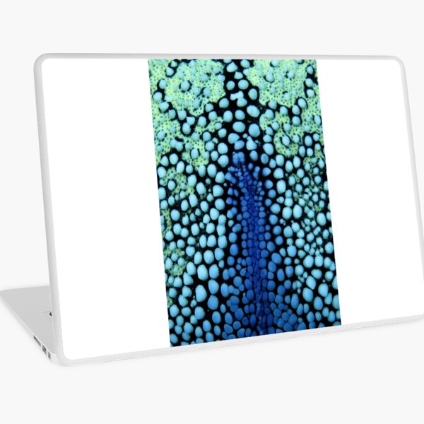 Stone Pathways Laptop Skin
