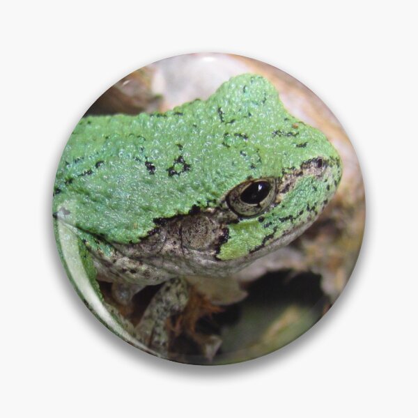 Item preview, Tree Frog designed and sold by Denise Larson.