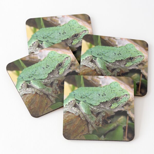 Item preview, Tree Frog designed and sold by Denise Larson.