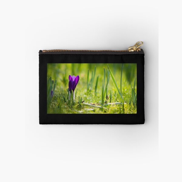 Aperçu de l'œuvre Crocus vernus violet - Belfast créée et vendue par merakiinfocus.