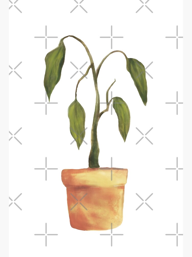 "Serial Plant Killer Award" Poster For Sale By MamSelle | Redbubble