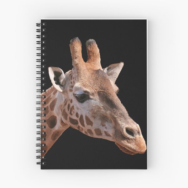 Item preview, A Pair Of Giraffes designed and sold by Jenny Brice.
