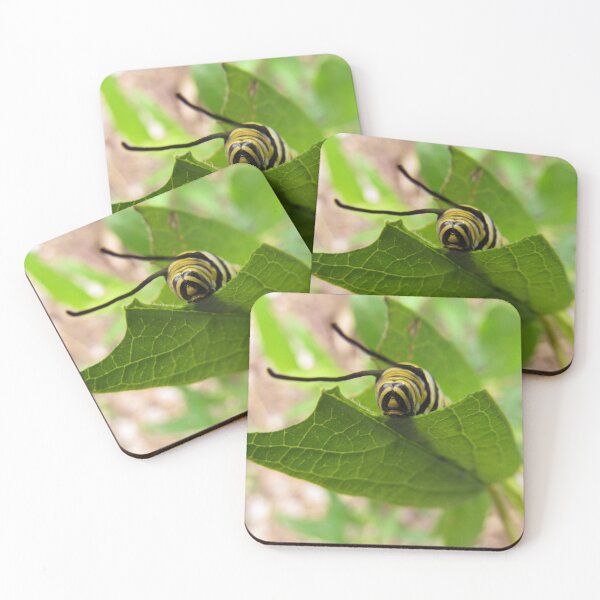 Item preview, Caterpillar Hungry designed and sold by Denise Larson.