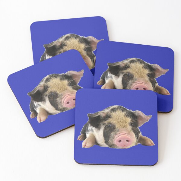 Item preview, Young Cute Piggy Piglet, Kune Kune Breed designed and sold by ScienceSource.