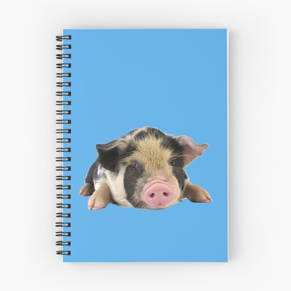 Item preview, Cochinillo guarro lindo joven, raza Kune Kune designed and sold by ScienceSource.