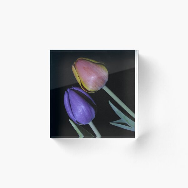 Item preview, Twin tulips designed and sold by Denise Larson.