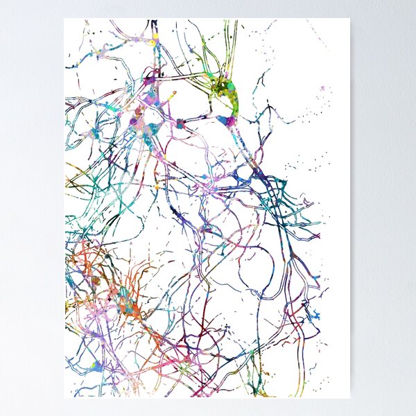 Vista previa del artículo con la obra «Anatomía y biología celular humana», diseñado y vendido por EvasDreams.