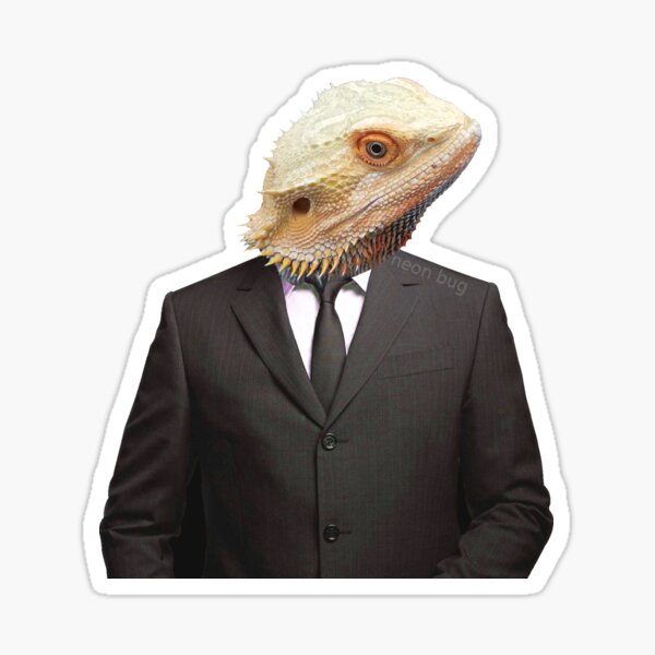 bearded dragon in tuxedo