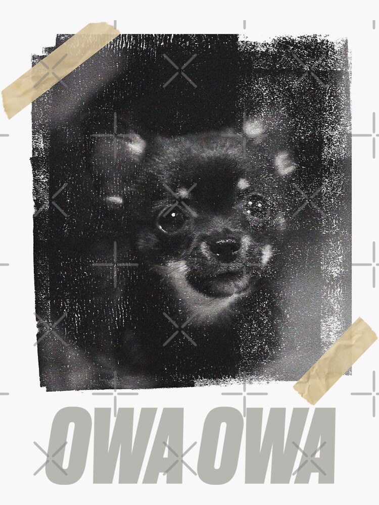 "Can i get an Owa Owa Tiktok meme Dog StreetWear Style" Sticker for