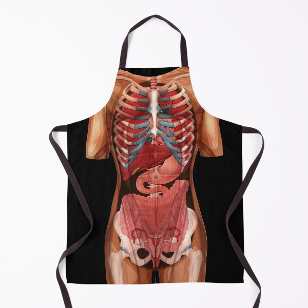 Item preview, Location Organs - Anatomy Human Human Body Front designed and sold by Shirtey.