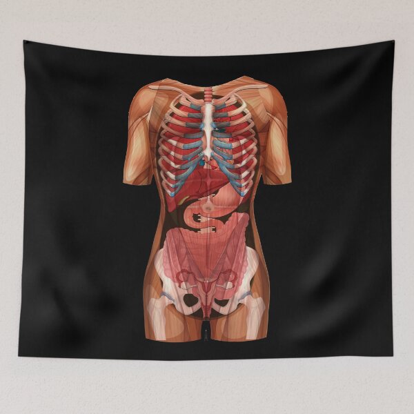Item preview, Location Organs - Anatomy Human Human Body Front designed and sold by Shirtey.