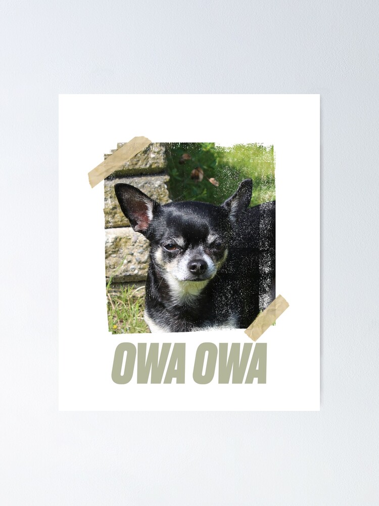 "Can i get an Owa Owa Tiktok meme Dog StreetWear Style" Poster for Sale
