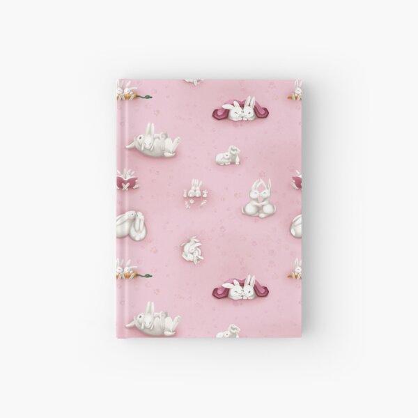 Lapins de la St Valentin Carnet cartonné
