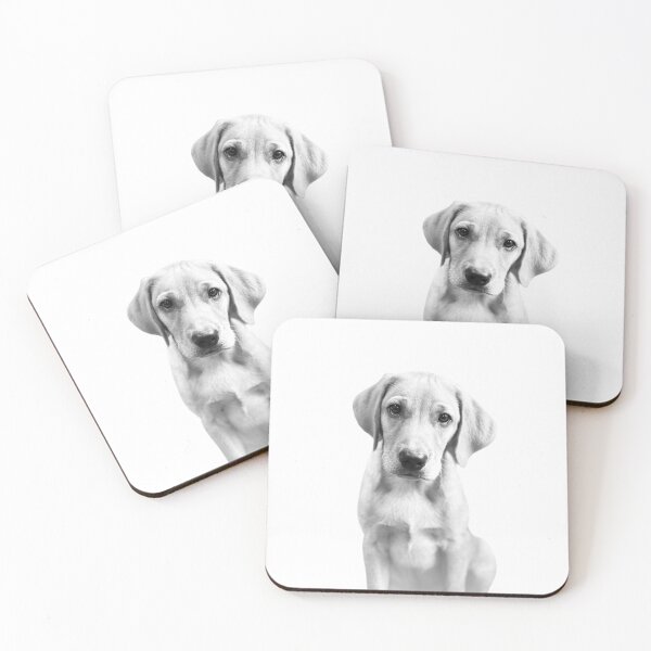 Item preview, Dexter - Fox Red Labrador Puppy - Black & White designed and sold by DexterFRL.