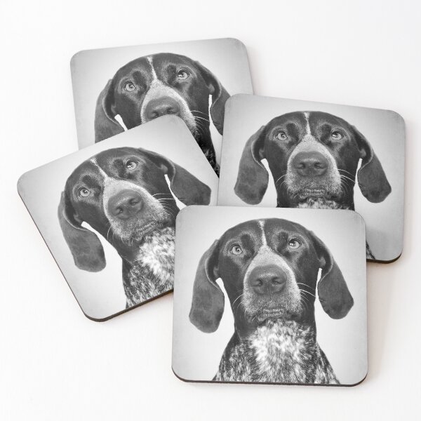Item preview, English Pointer dog - BW Vintage - D50 designed and sold by DecoVintage.