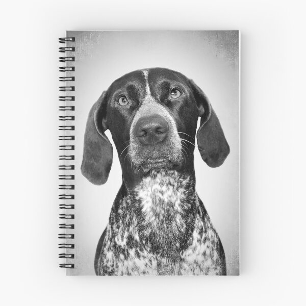 Item preview, English Pointer dog - BW Vintage - D50 designed and sold by DecoVintage.
