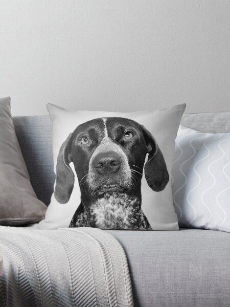 Item preview, English Pointer dog - BW Vintage - D50 designed and sold by DecoWords.